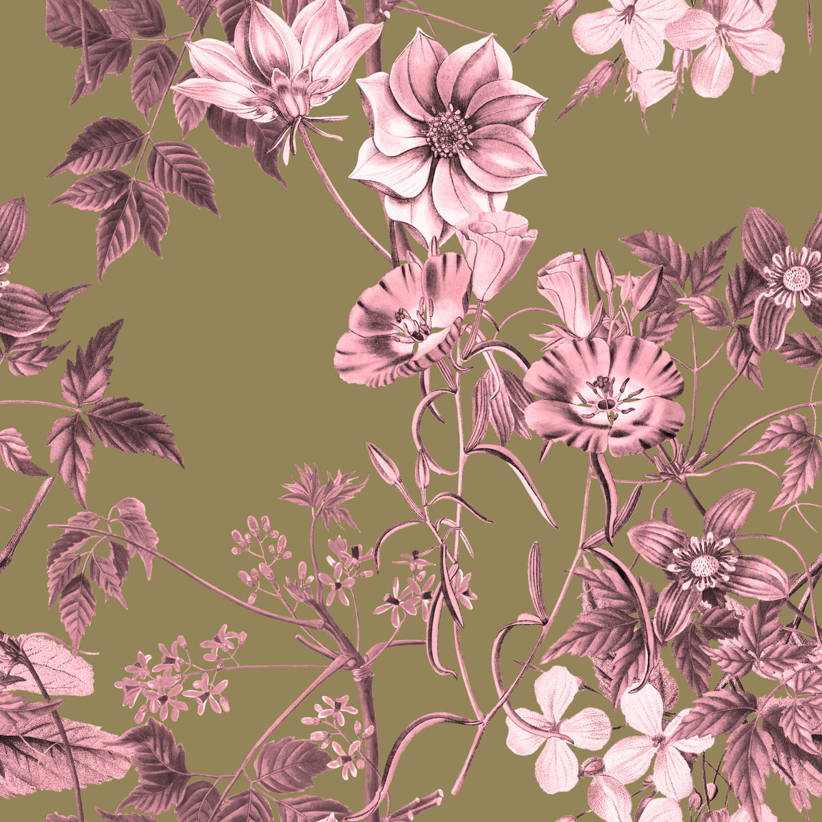 Heirloom Flowers Rose and Olive Wallpaper