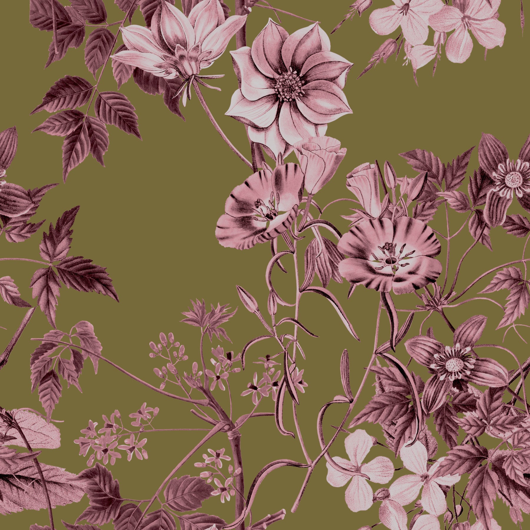Vintage Botanical Blush Wallpaper