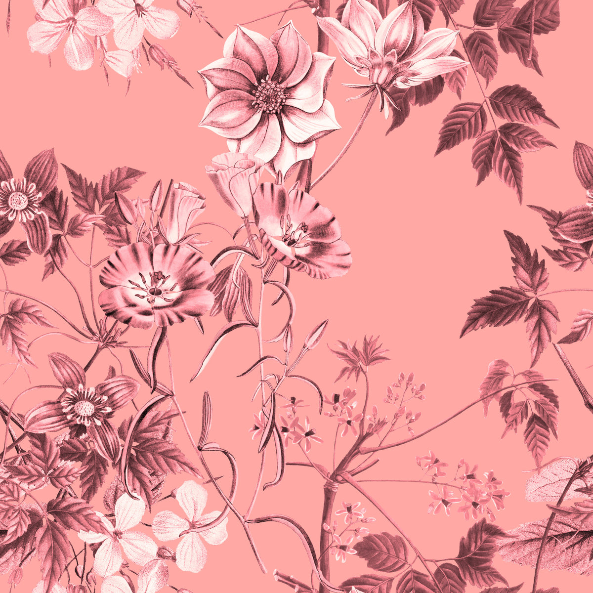 Blushing Flower Prints Wallpaper