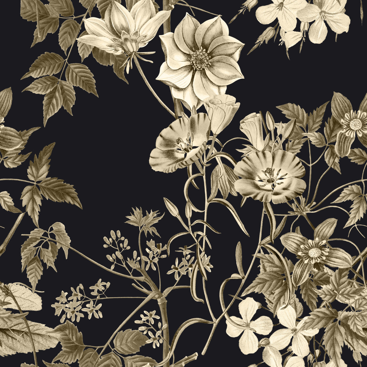 Black Botanical Elegance Wallpaper in your room — zoomed