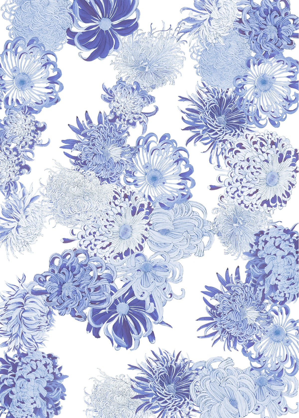 Blue Chrysanthemum Cascade Wall Mural