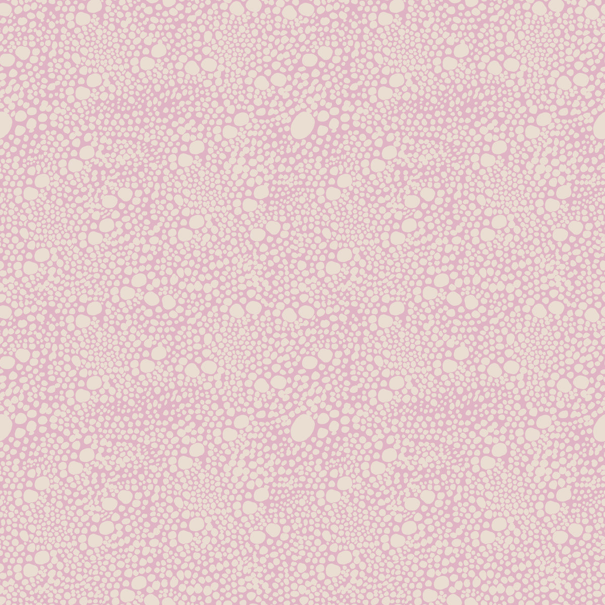 Blush Pebble Bloom Pastel Pinks  Wallpaper⁠