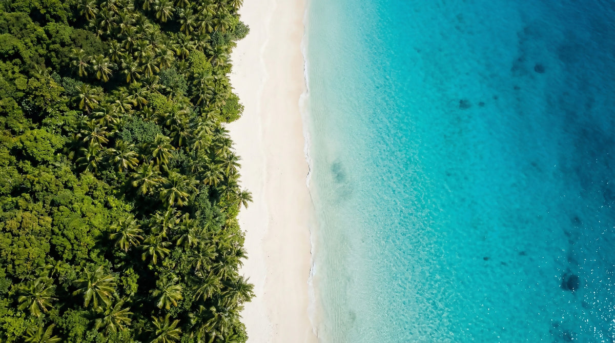 Tropical Shoreline Serenity Wall Mural in your room — zoomed