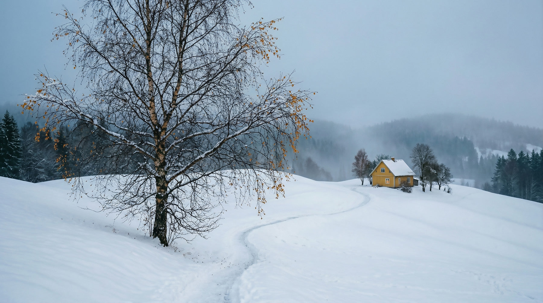 Snowy Path to the Yellow House Wall Mural