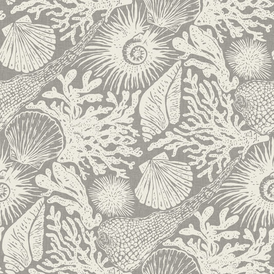 Boho Seashell & Coral Gray Wallpaper⁠