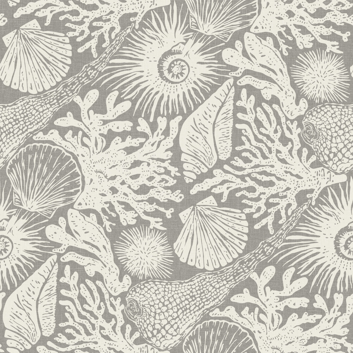 Boho Seashell & Coral Gray Wallpaper⁠ in your room — zoomed