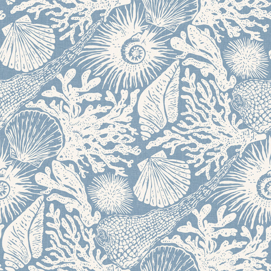 Boho Seashell & Coral Off-White on Azure Wallpaper⁠