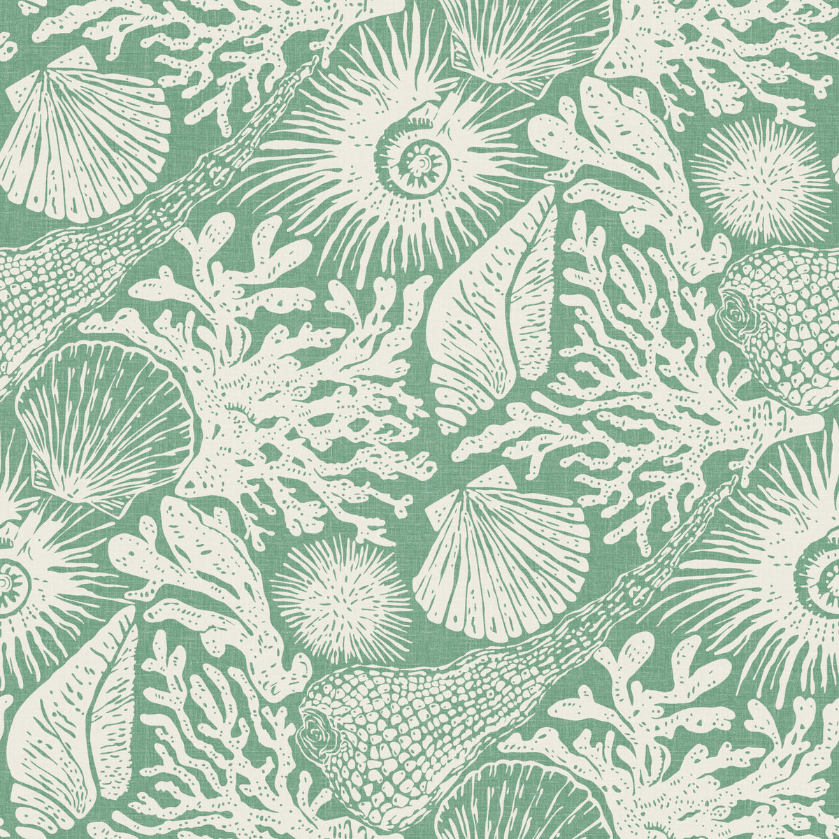 Boho Seashell & Coral Aqua Green Wallpaper⁠ in your room — zoomed