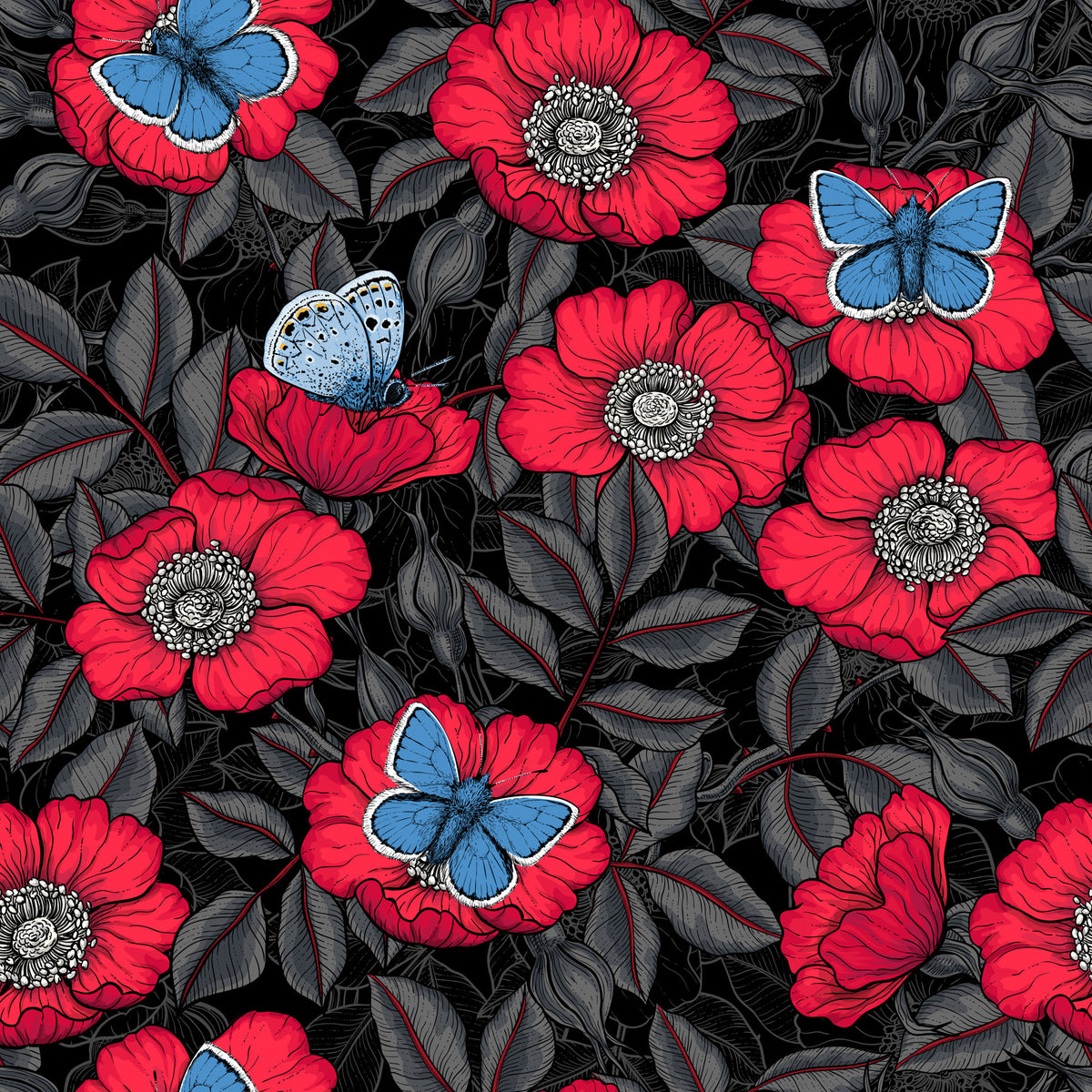 Dog Rose and Butterflies – Red and Blue Floral Colored Line Art on Red Background Wallpaper⁠
