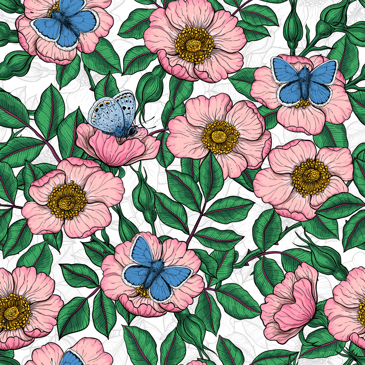 Dog Rose and Butterflies – Pink Green and Blue Floral Colored Line Art on White Background Wallpaper⁠