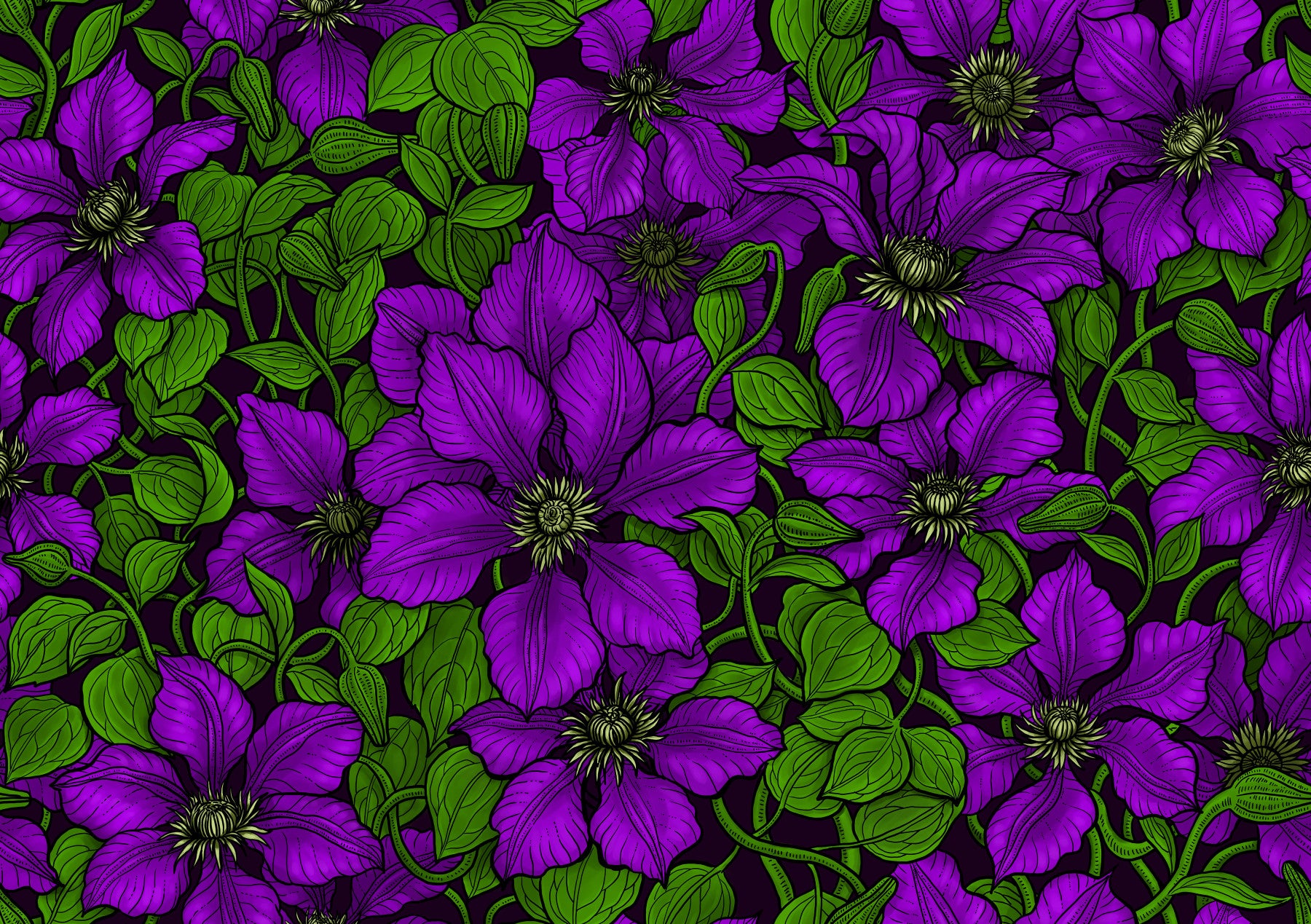 Purple Clematis vine Wallpaper⁠