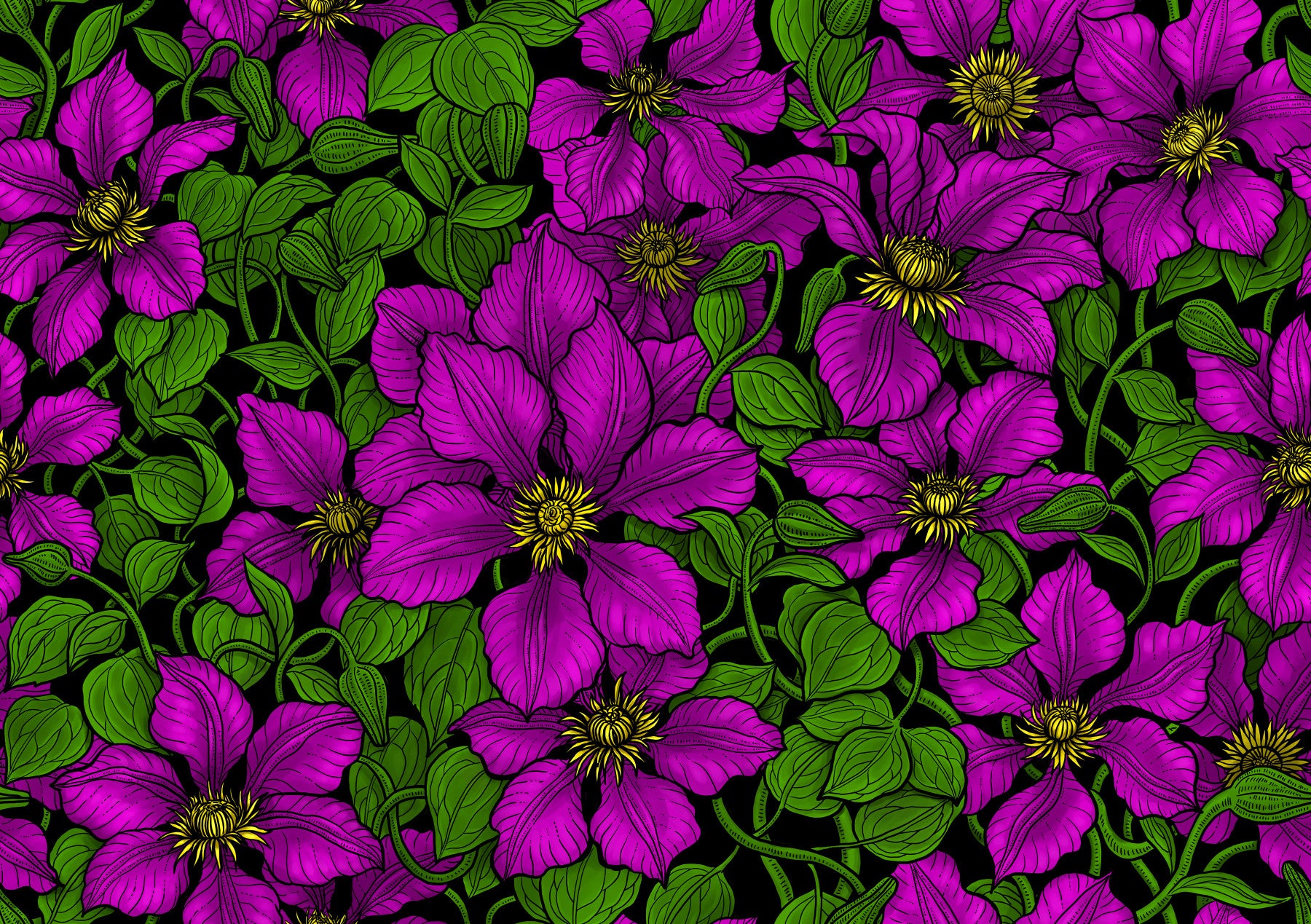 Pink Clematis vine Wallpaper⁠