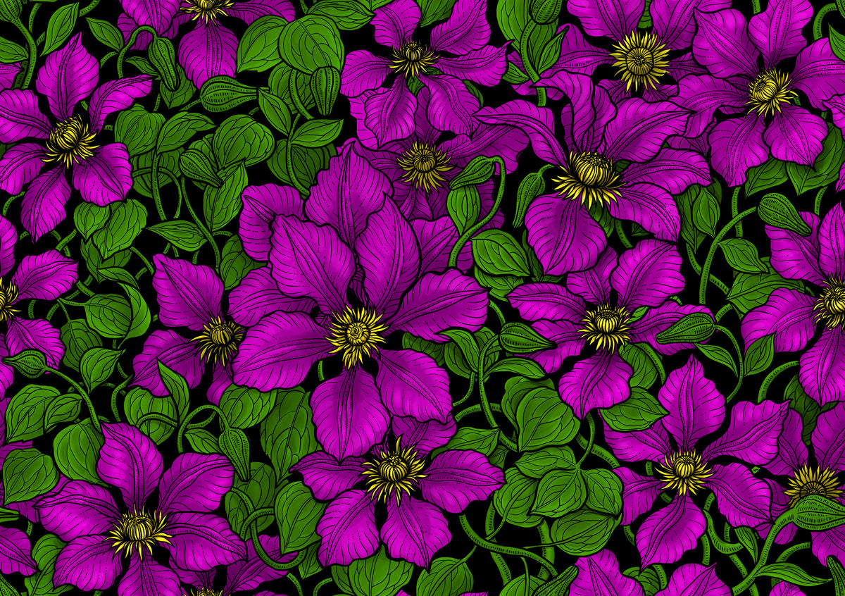 Pink Clematis vine Wallpaper⁠ in your room — zoomed