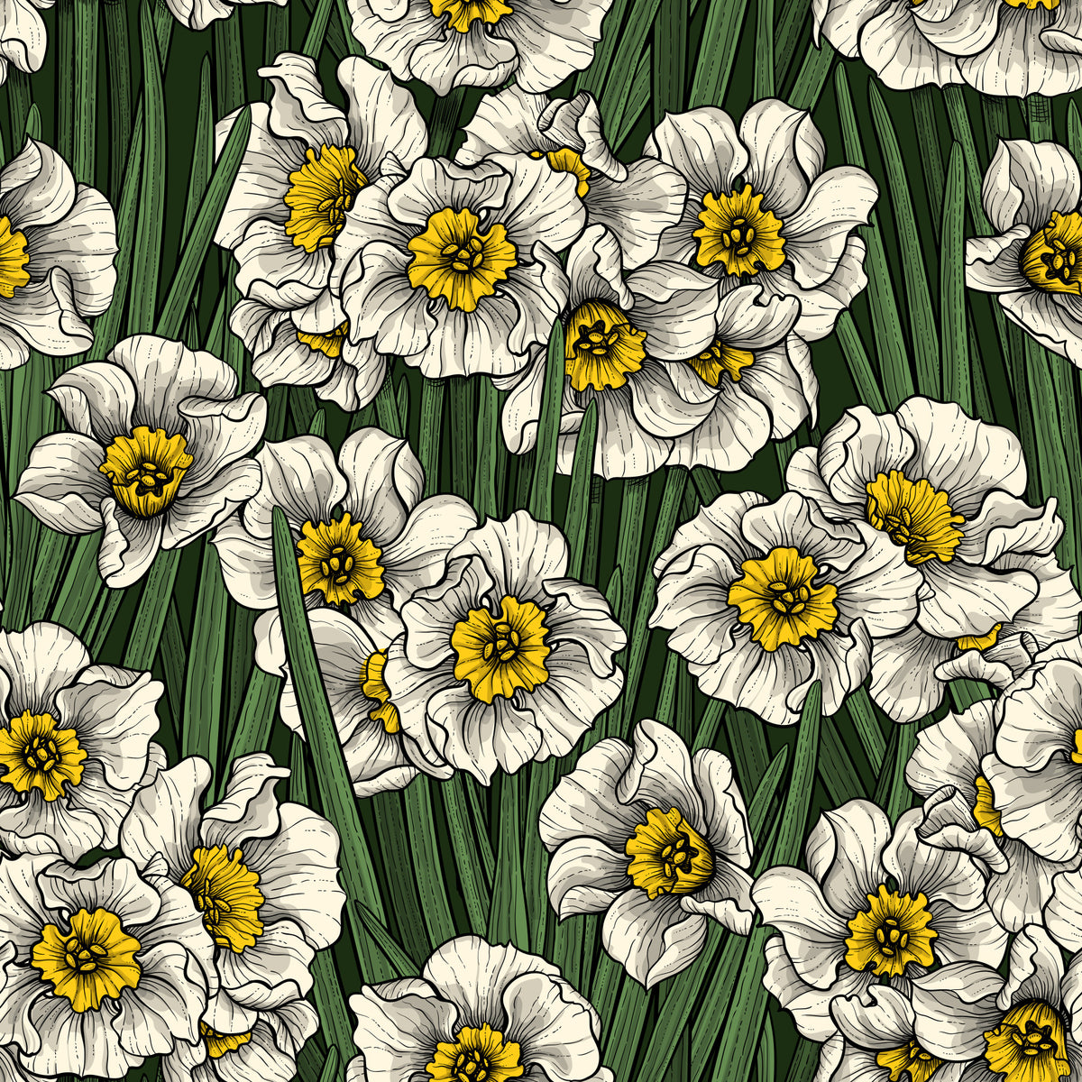 Daffodils Wallpaper⁠