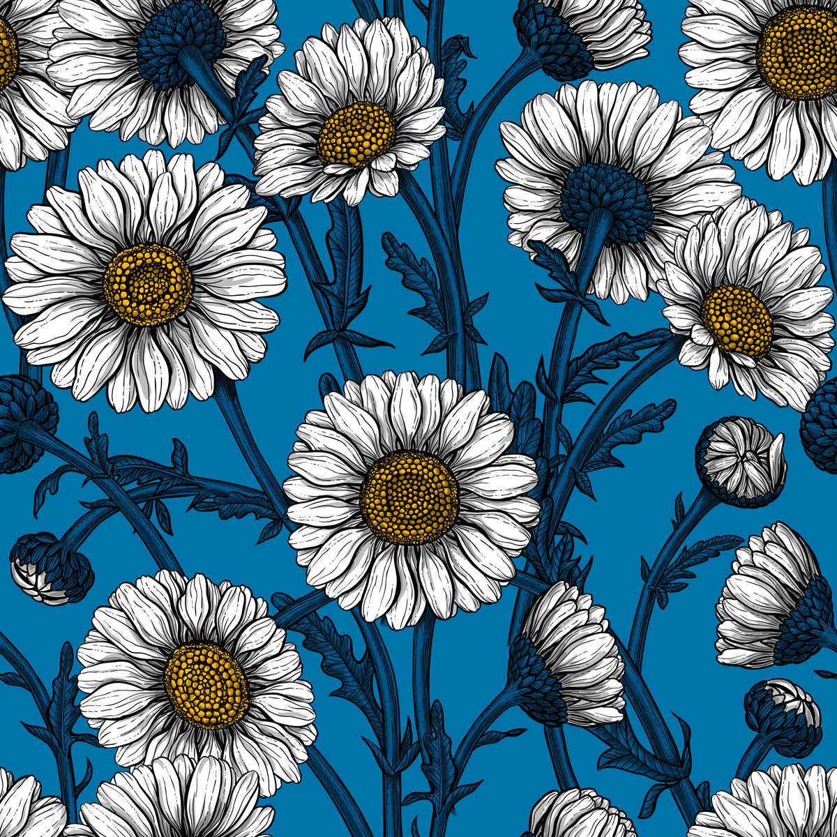 Daisies on blue 2 Wallpaper⁠ in your room — zoomed
