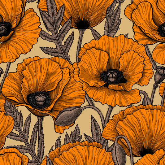 Orange poppy garden Wallpaper⁠