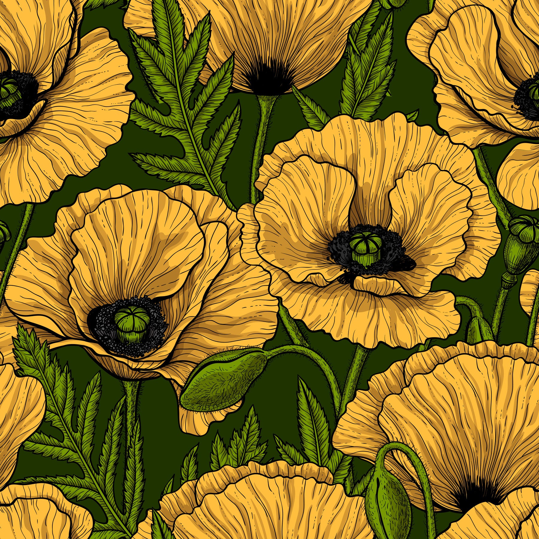 Yellow poppy garden Wallpaper⁠