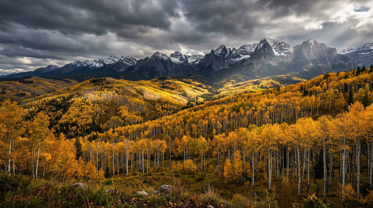 Autumn's Golden Embrace Wall Mural