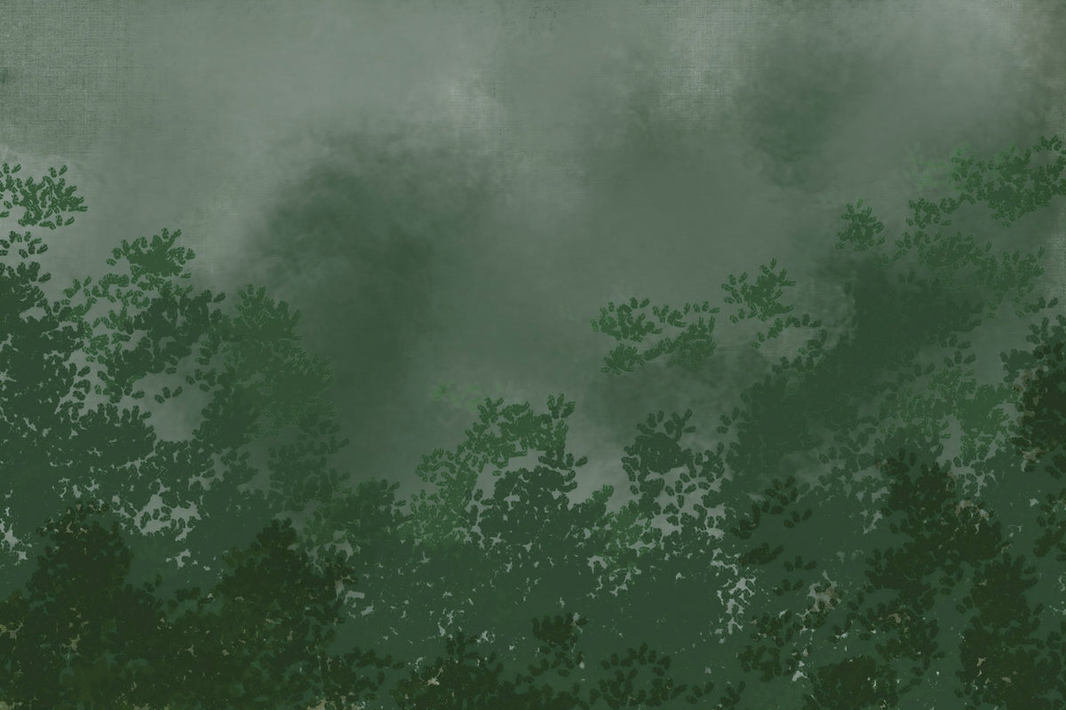 Emerald Canopy Mist Forest Dark  Wall Mural in your room — zoomed