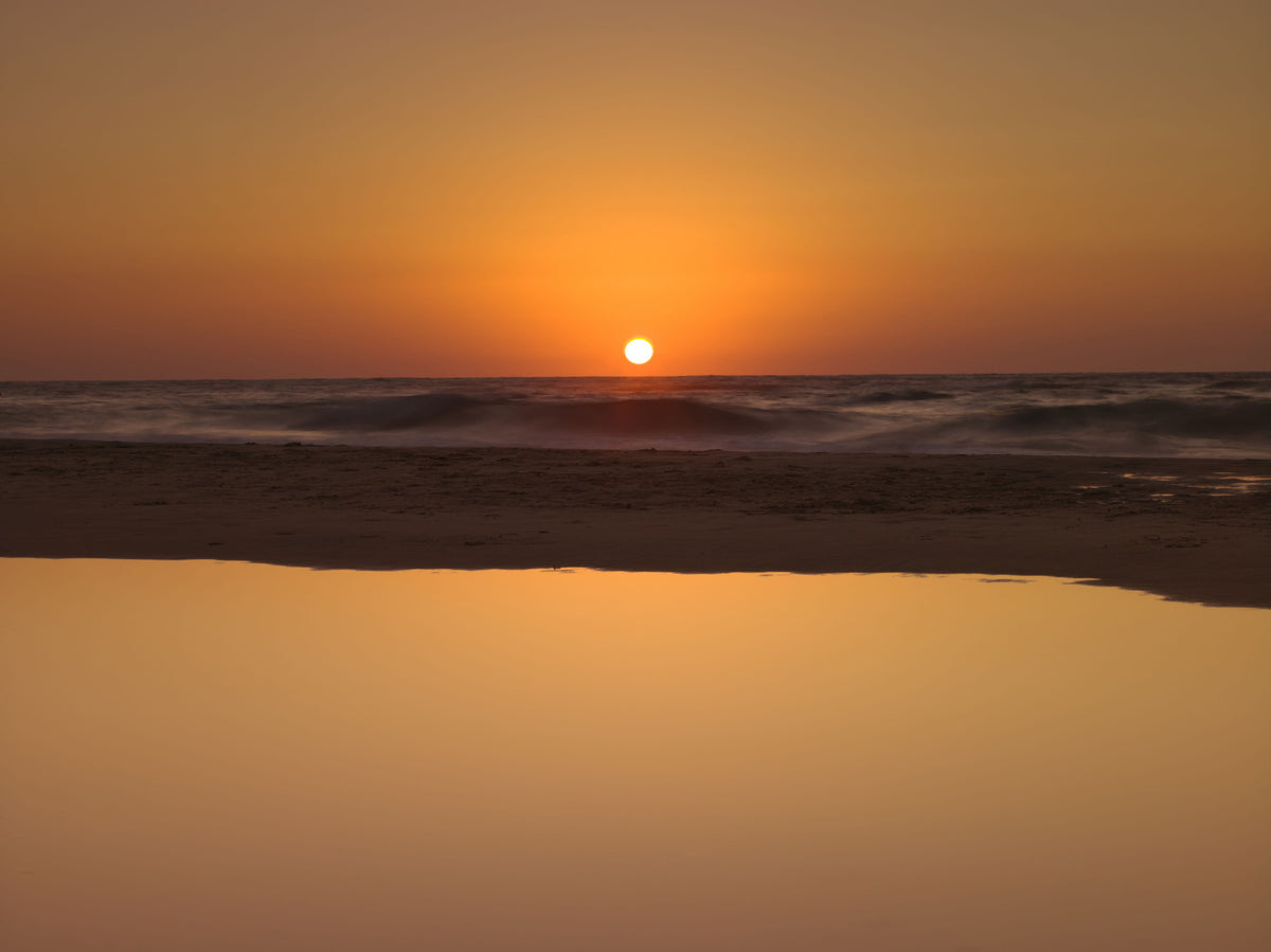 Golden Ocean Horizon Wall Mural in your room — zoomed