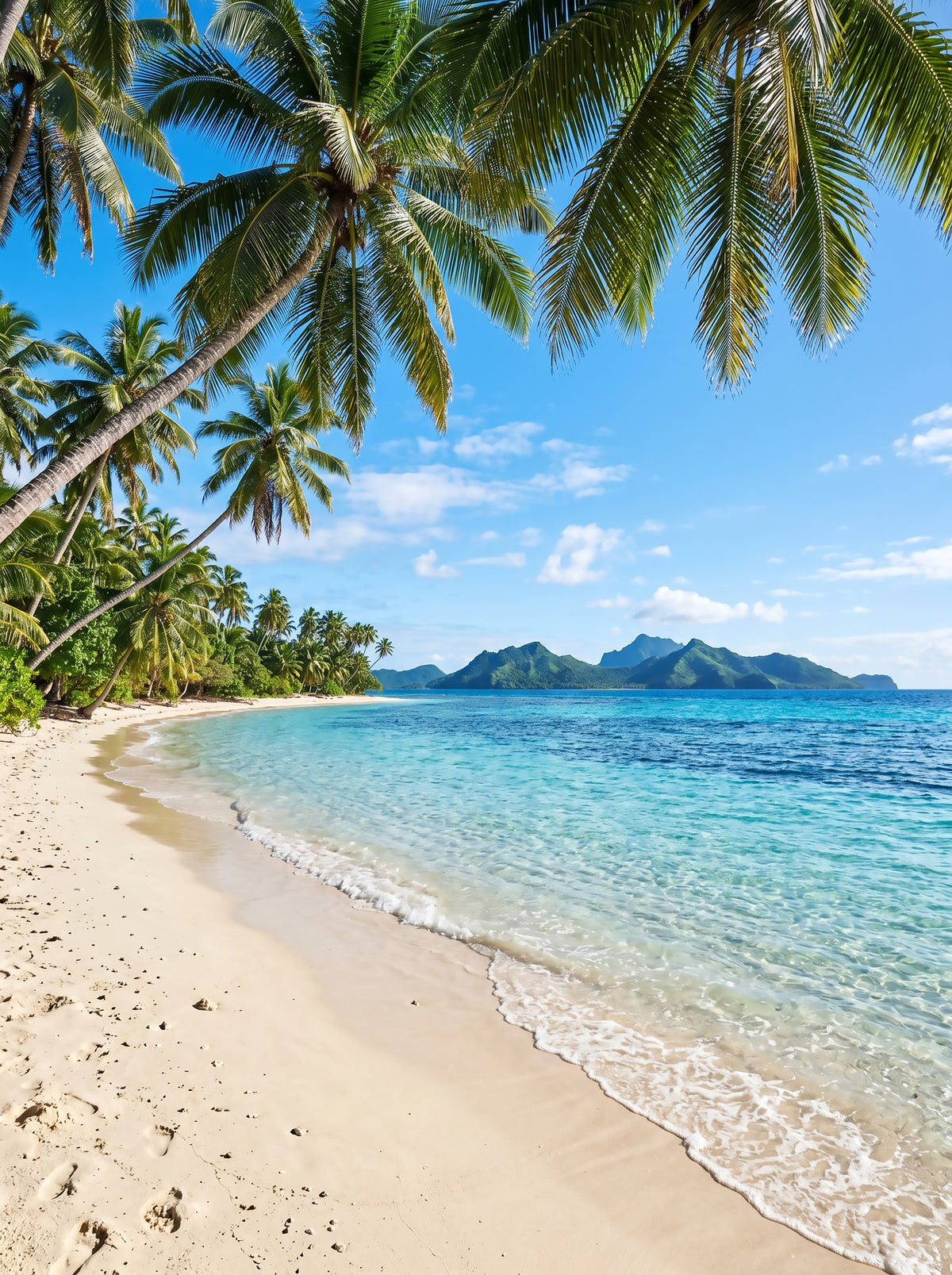 Tropical Beachside Serenity Wall Mural in your room — zoomed