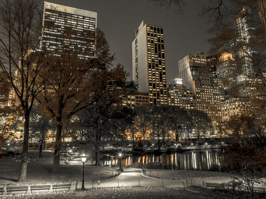 Urban Oasis Nights Wall Mural