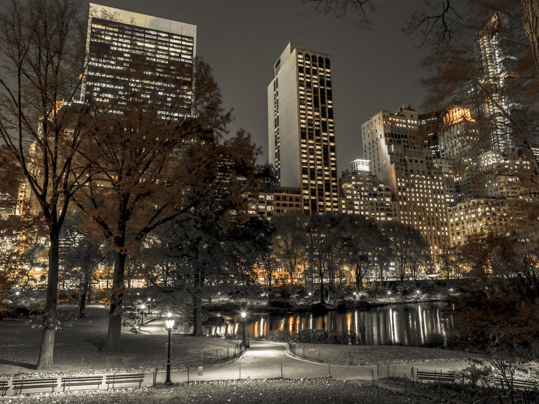 Urban Oasis Nights Wall Mural