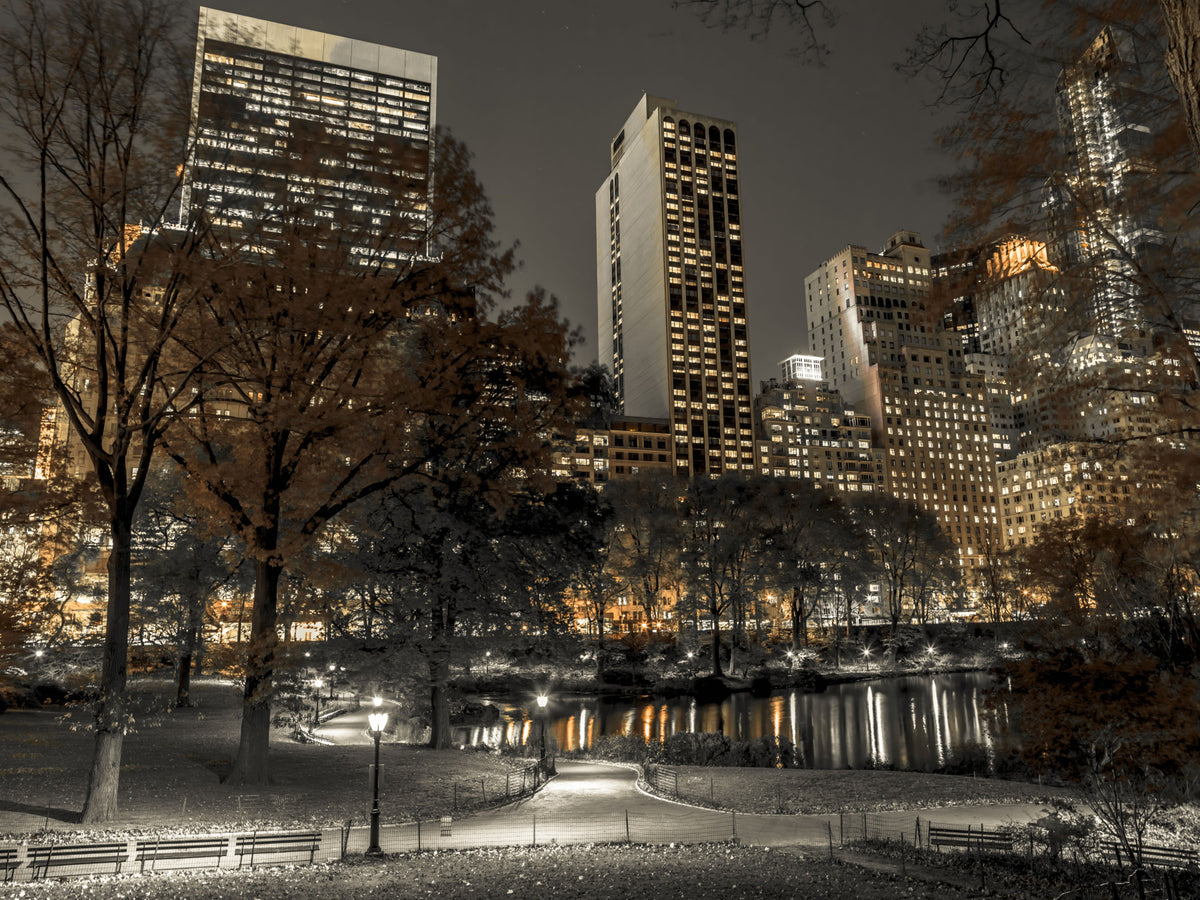 Urban Oasis Nights Wall Mural in your room — zoomed