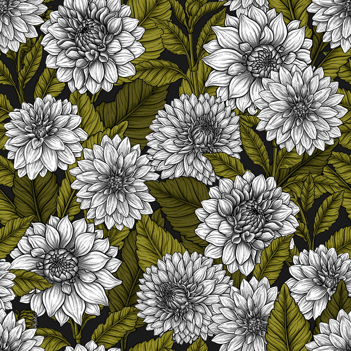 White Dahlia garden Wallpaper⁠