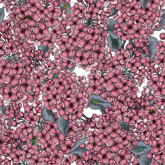 Pink Lilac garden Wallpaper⁠