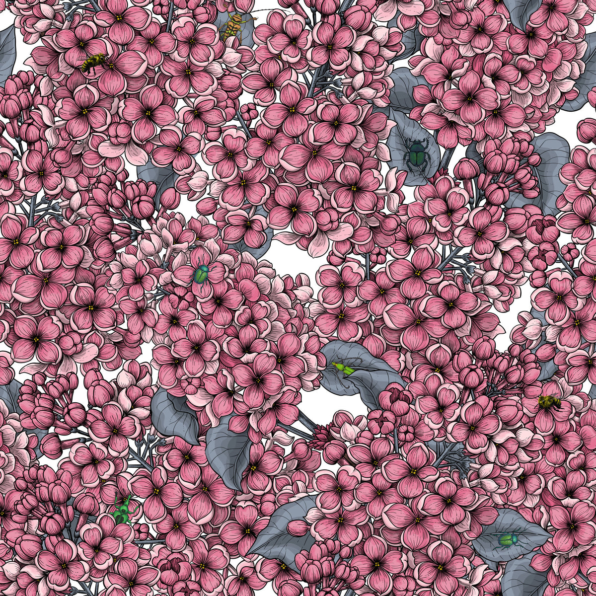 Pink Lilac garden Wallpaper⁠ in your room — zoomed