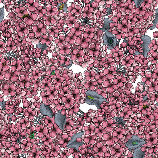 Pink Lilac garden Wallpaper⁠