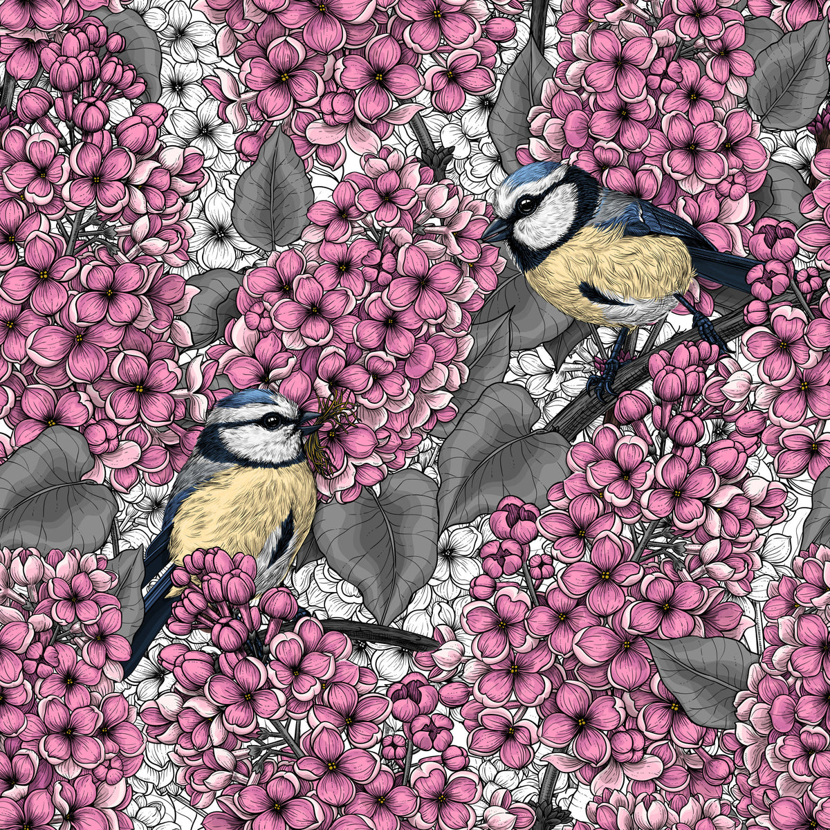 Birds in pink lilac garden  Wallpaper⁠ in your room — zoomed