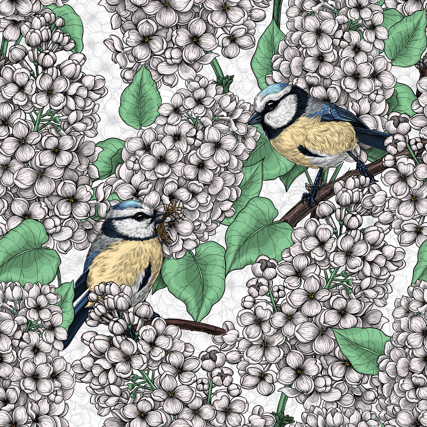 Birds in the lilac tree, white and green Wallpaper⁠