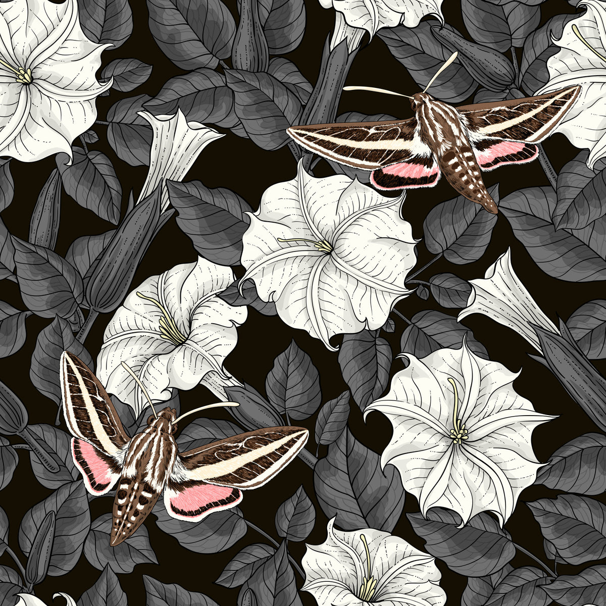 Moonflowers and sphinx moths Wallpaper⁠