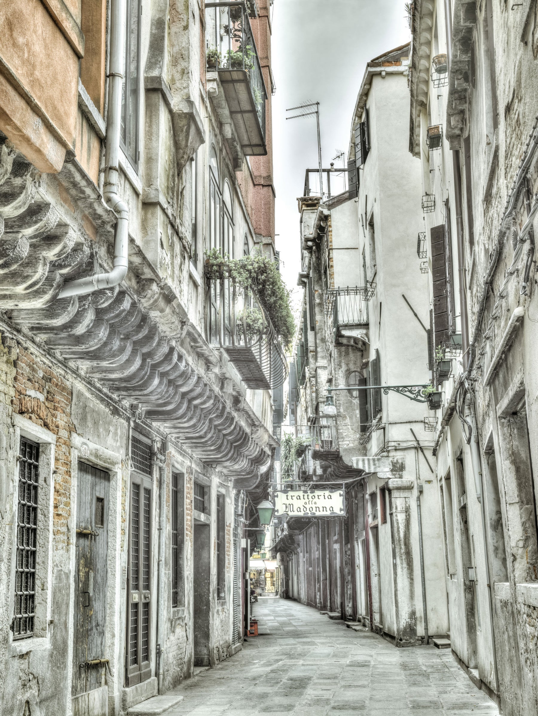 Venetian Alley Whisper Wall Mural