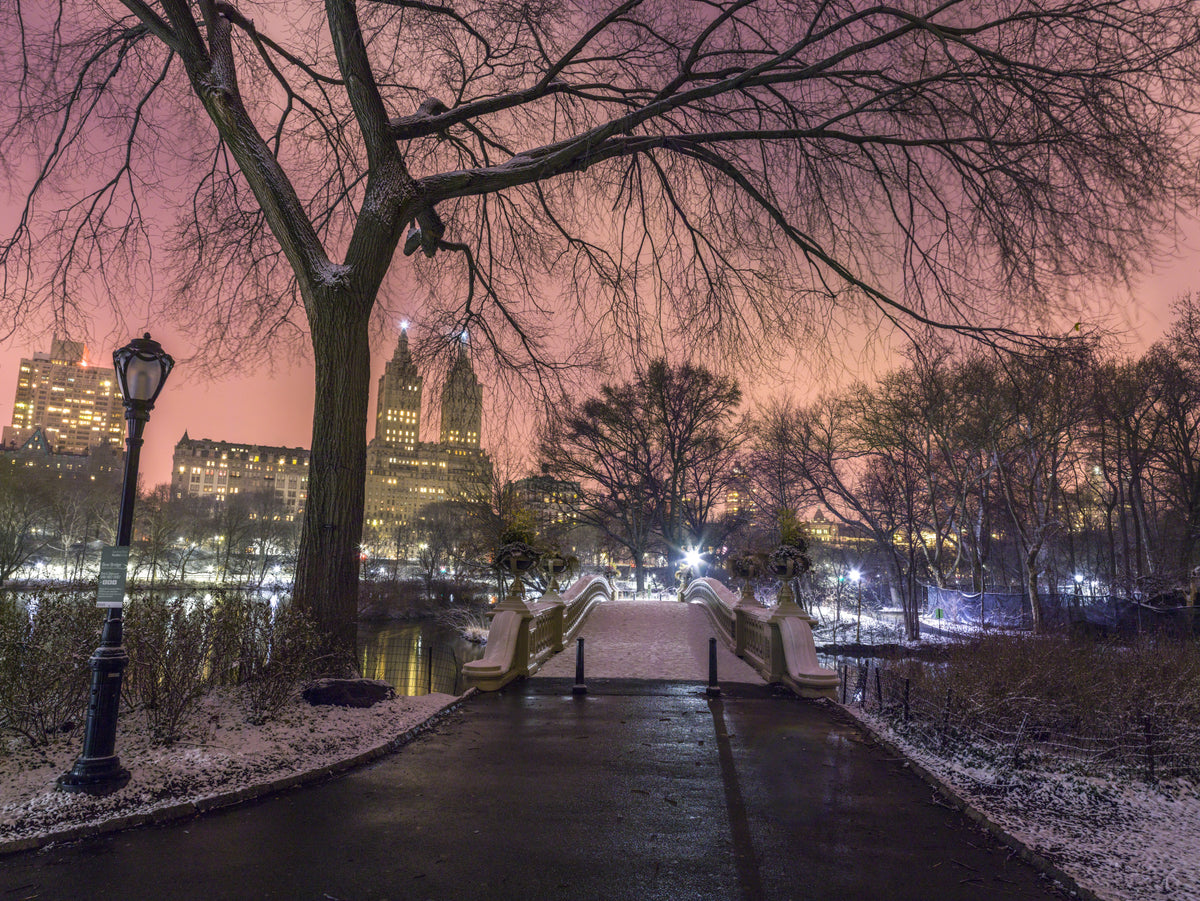 Central Park Winter Twilight Wall Mural