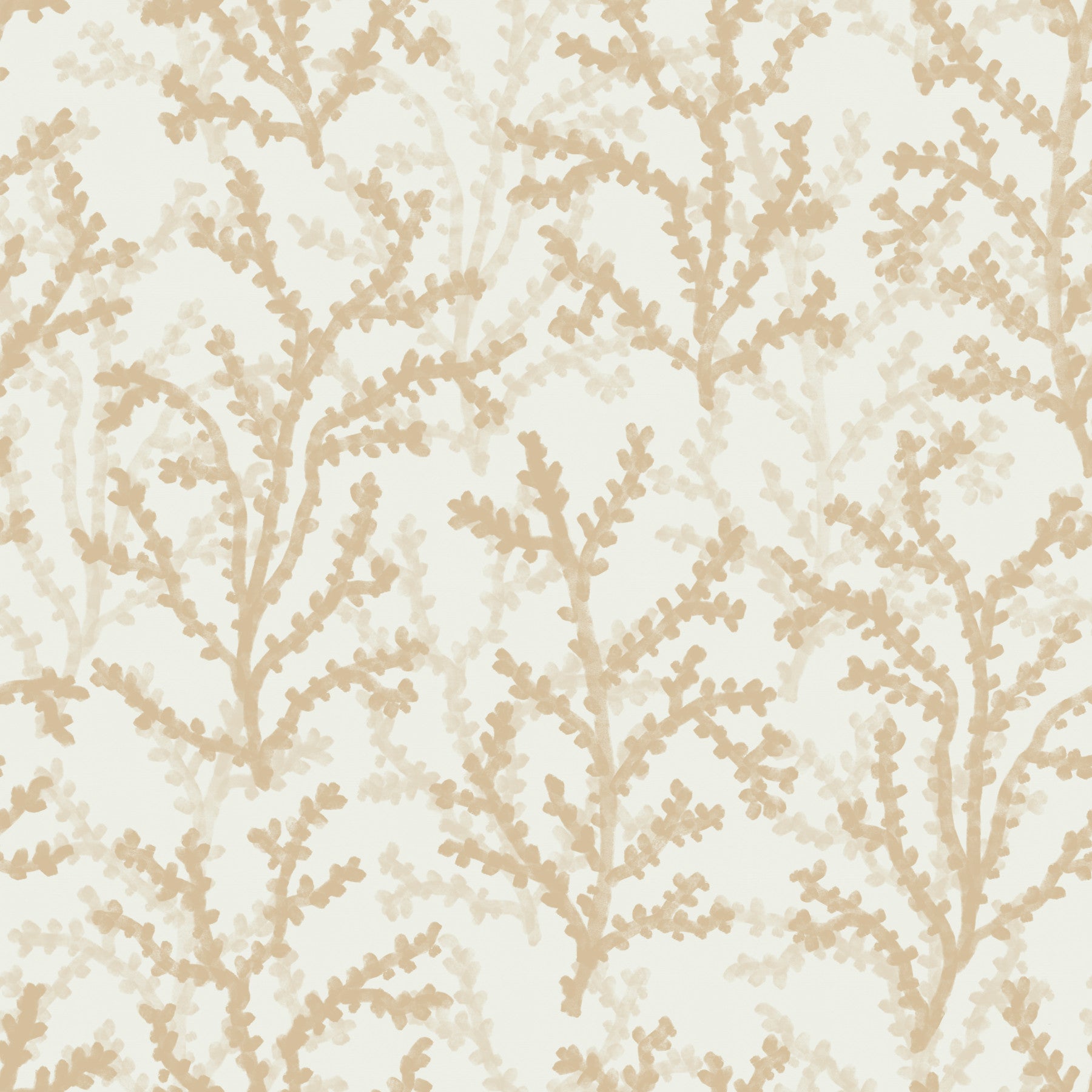 Painted Coraline Sand Wallpaper⁠