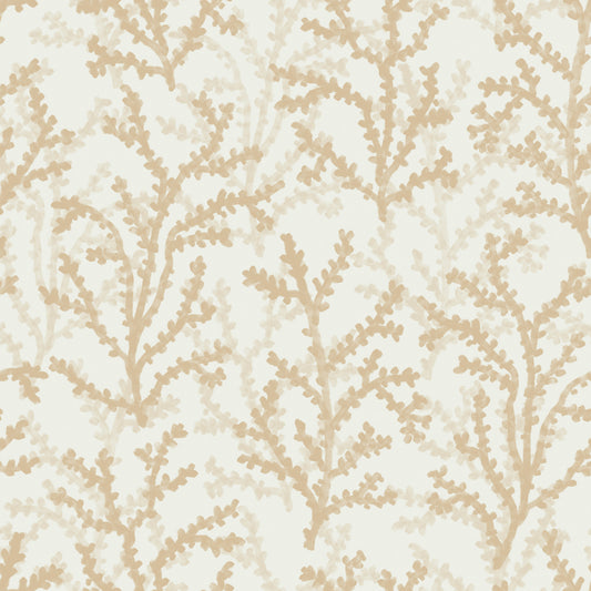 Painted Coraline Sand Wallpaper⁠