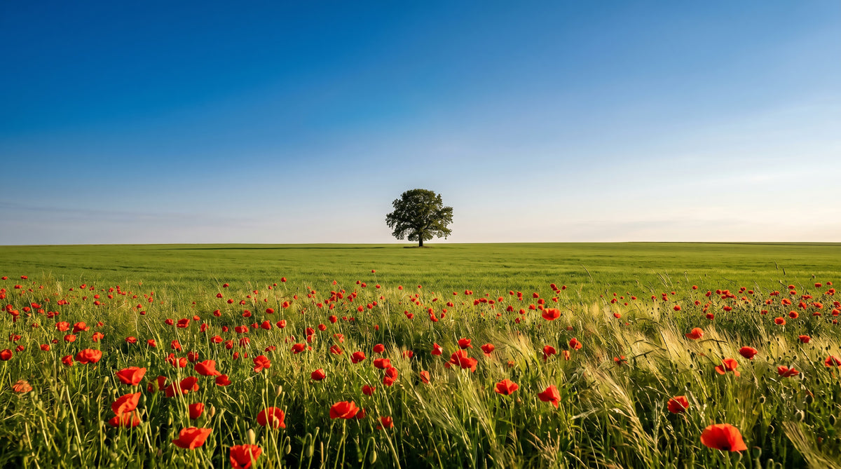 Vibrant Meadow Horizon Wall Mural