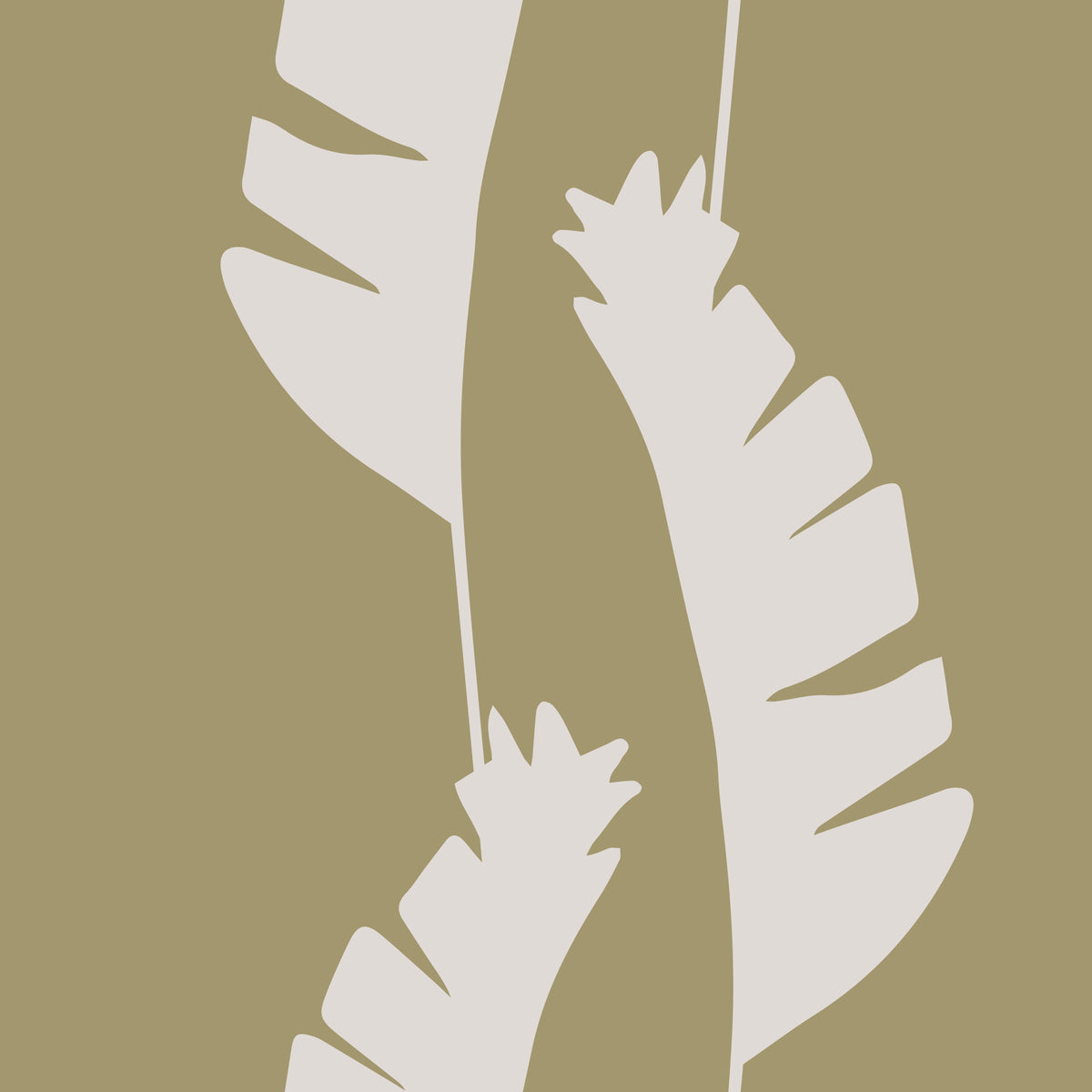 Olive Green Banana Leaf Wallpaper Boho Coastal Wallpaper⁠