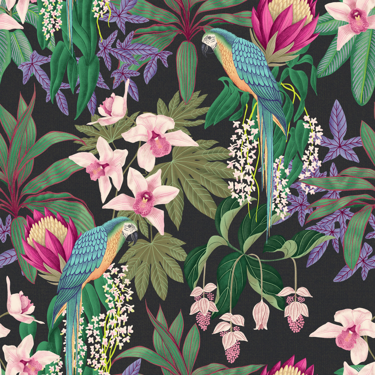 Tropical Macaw & Orchid Bloom Wallpaper⁠ in your room — zoomed