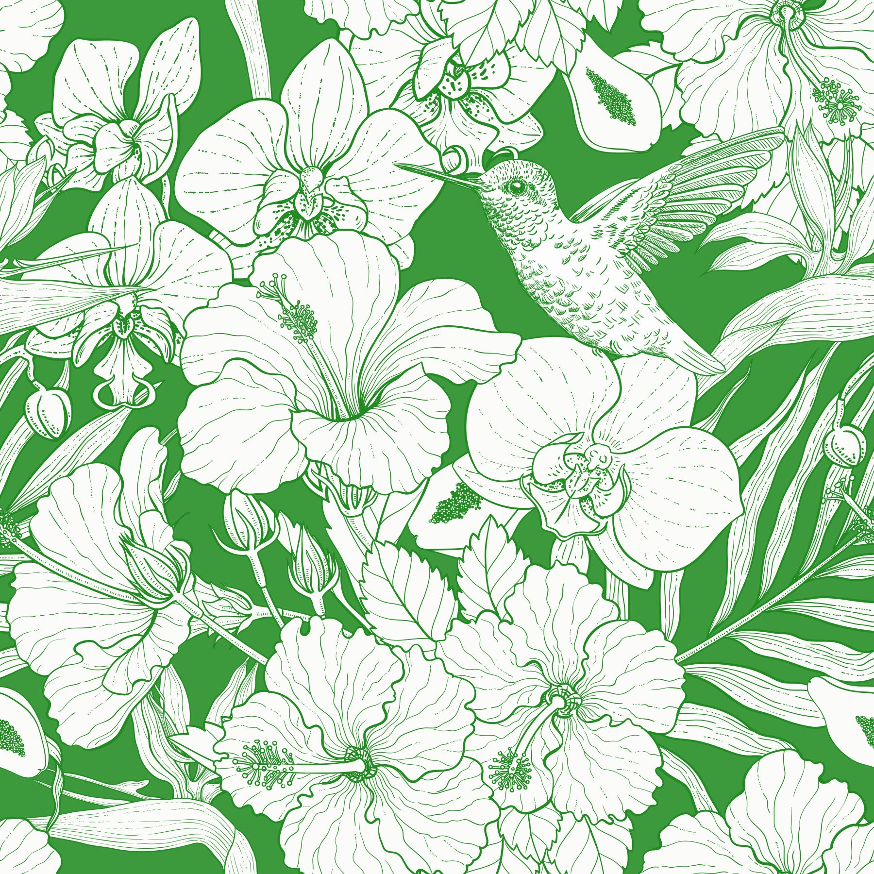 Tropical Florals and Hummingbird - Summer Botanical Garden 6 Wallpaper⁠