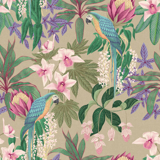 Tropical Macaw & Orchid Bloom  Wallpaper⁠