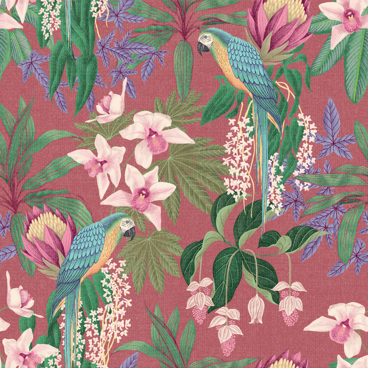 Tropical Macaw & Orchid Bloom Wallpaper⁠ Wallpaper⁠