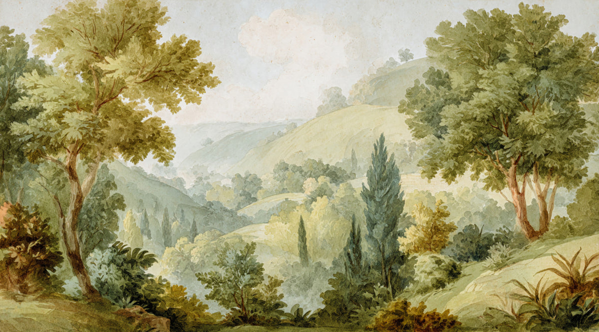 Serene Valley Vista Wall Mural