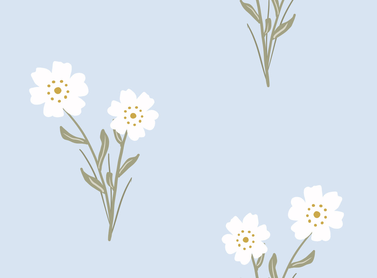 Soft Bloom Serenity Wallpaper⁠