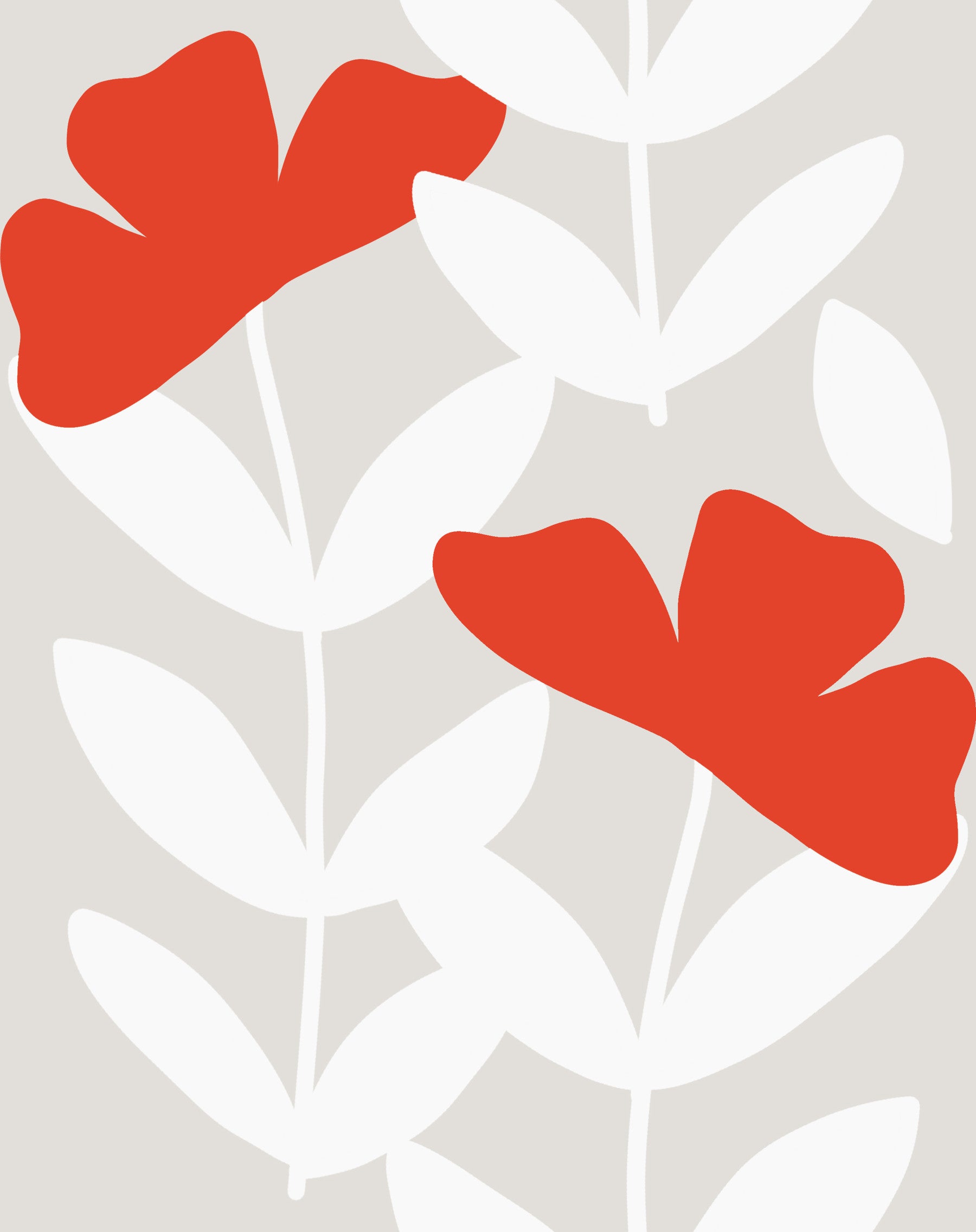 Red Peony Wallpaper⁠
