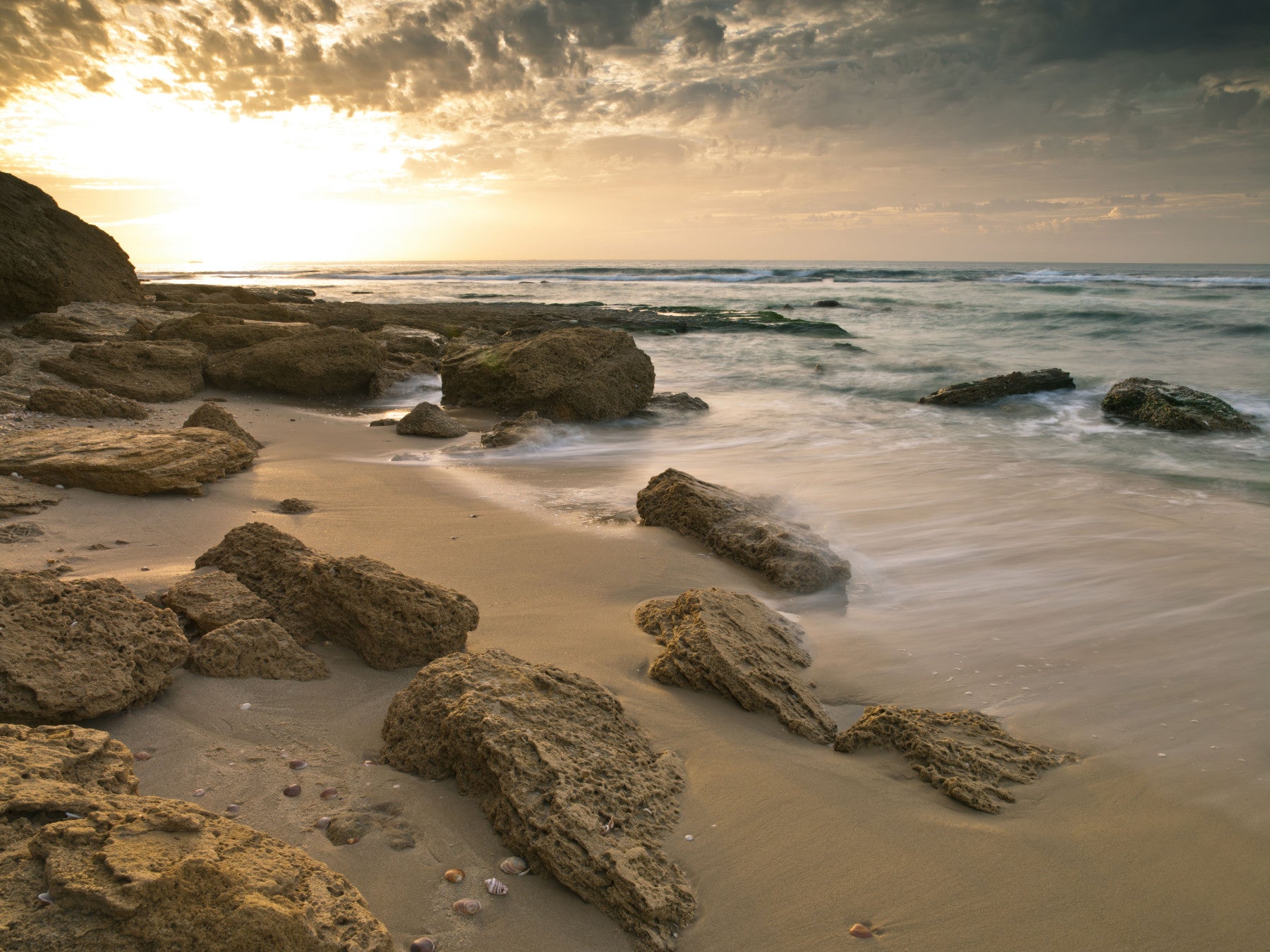 Golden Quiet Shore Wall Mural