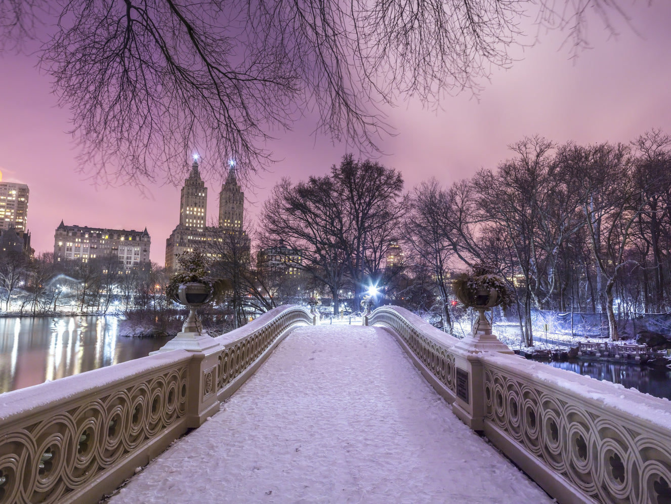 Bow Bridge Winter: Central Park's Pink Dusk Wall Mural